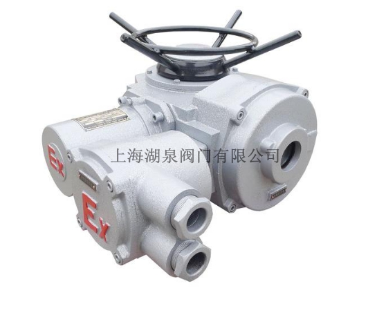 電動(dòng)閘閥ZB60-24產(chǎn)品樣本說(shuō)明書