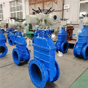 電動(dòng)閘閥Z941h -64 DN500（石化行業(yè)、煉油廠