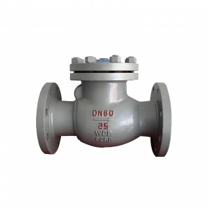 DN50 PN25 介質(zhì)：甲胺，溫度：80℃止回閥