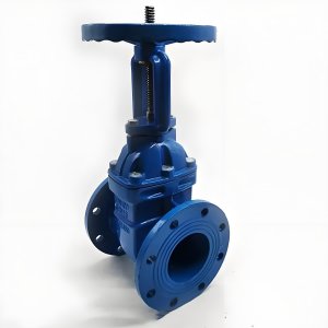 手動(dòng)閘閥Z41T-16 DN50/DN65廠家直銷(xiāo)，上海發(fā)